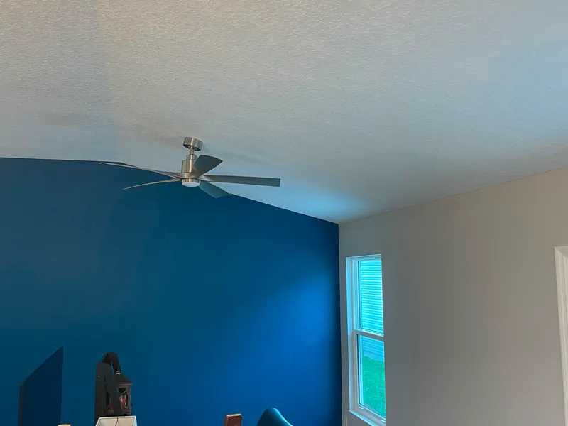 Navy blue accent wall in a freshly painted living room