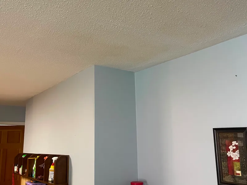 Utility room interior repaint with a clean finish